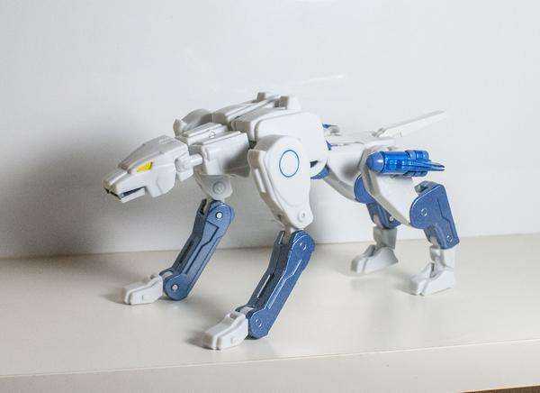 Retro Bot Reviews: Ocular Max Doccat