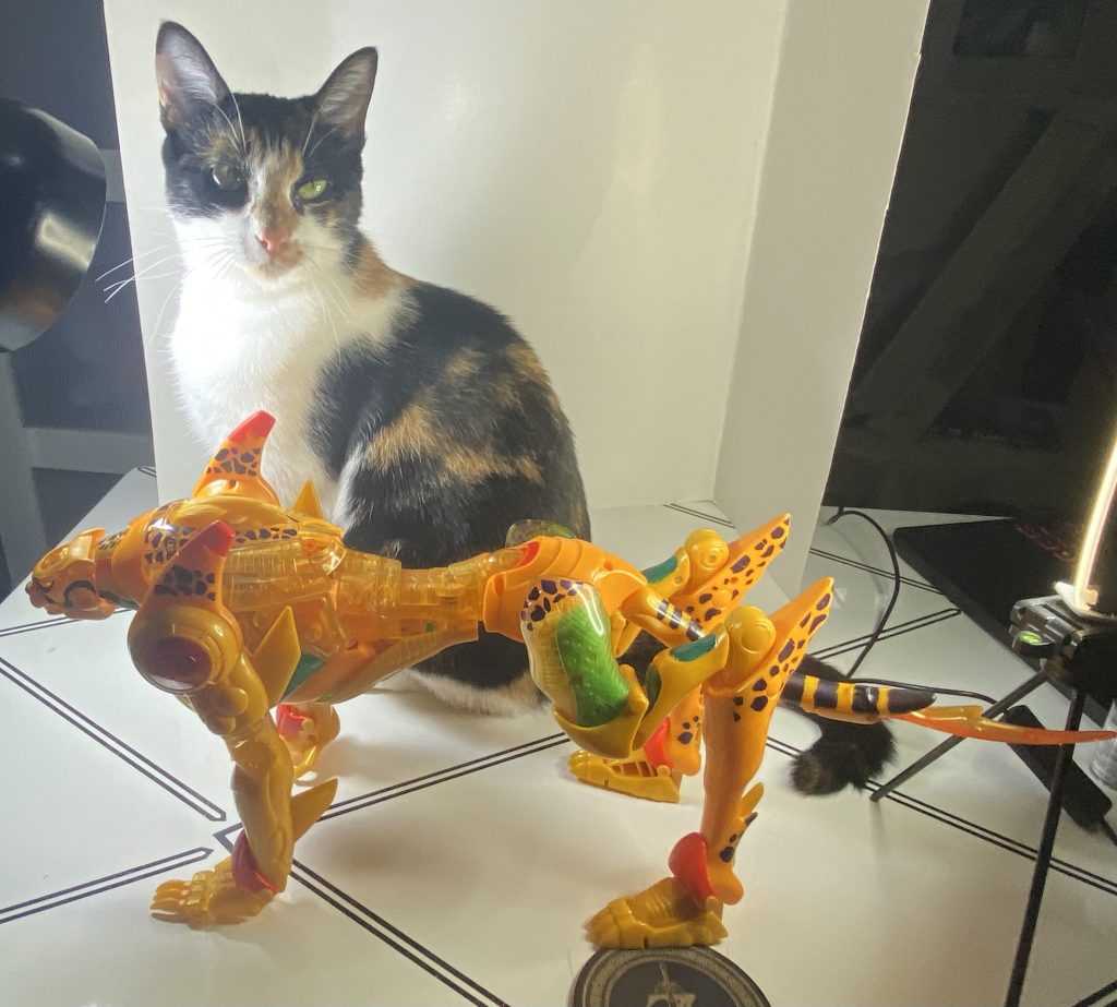 Getting a real cat to even stay still for a photo is tough, so this is as good of a comparison as I can get.