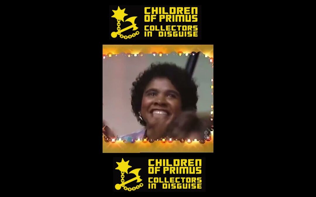 WHAT is in the box? One of our Collectors in Disguise received this for Christmas from a fan! 🙂😯