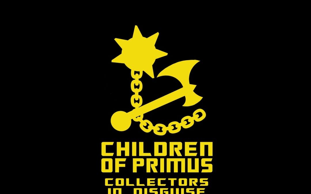 LARGEST TRANSFORMERS COLLECTION IN AUSTRALIA. BIG ANGRY TREV Curator of the TRANSFORMATORIUM #fypシ゚