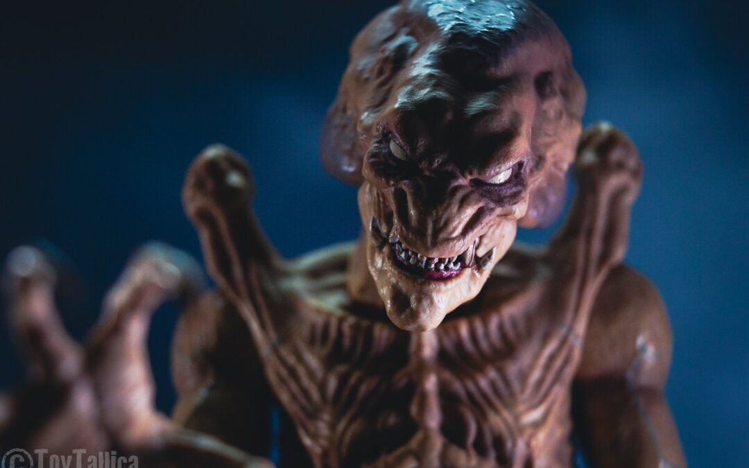 TNi Photo Of The Day; "Christmas Is Coming? Let's Stay With This One." By ToyTallica