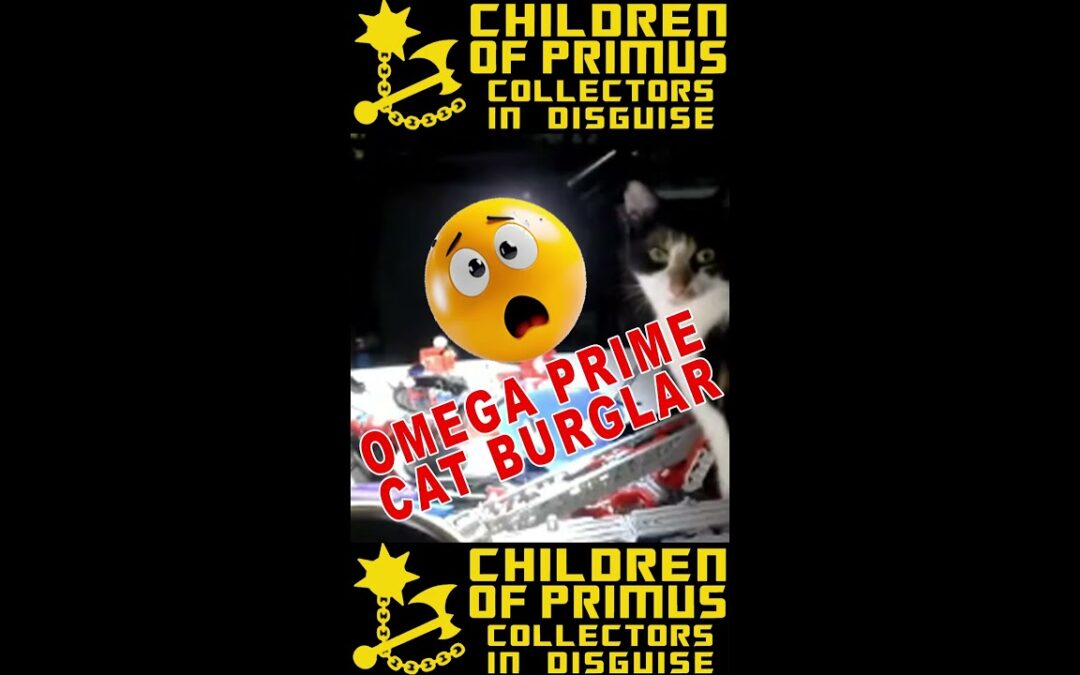 TRANSFORMERS CAT BURGLAR!!! #transformers #haslab #childrenofprimus #storytime #fyp #shorts