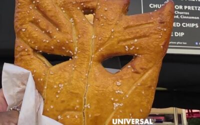 Transformers Pretzel At Universal Studios Hollywood